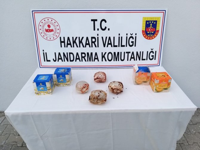 1-20210714152547.jpg