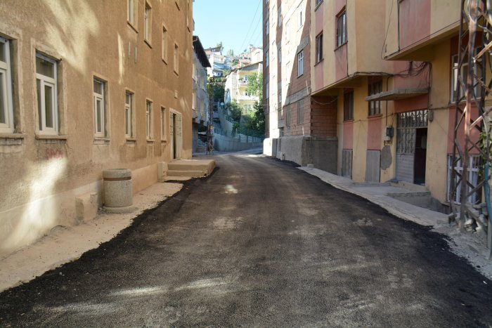 2-081.jpg