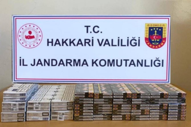 2-20231009112043.jpg