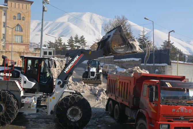 4-294.jpg