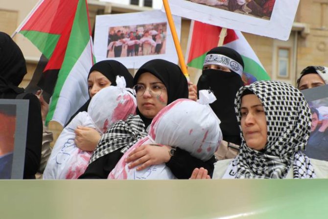 7-115.jpg