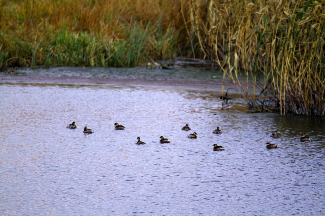 aw156926_01.jpg