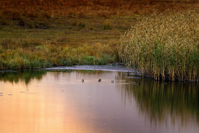 aw156926_07.jpg