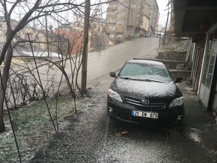 iceik2.jpg